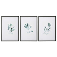 Cruz Sage Framed Prints, Set of 3