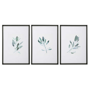 Cruz Sage Framed Prints, Set of 3