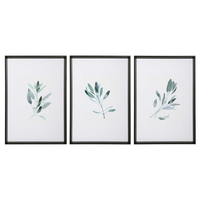 Cruz Sage Framed Prints, Set of 3