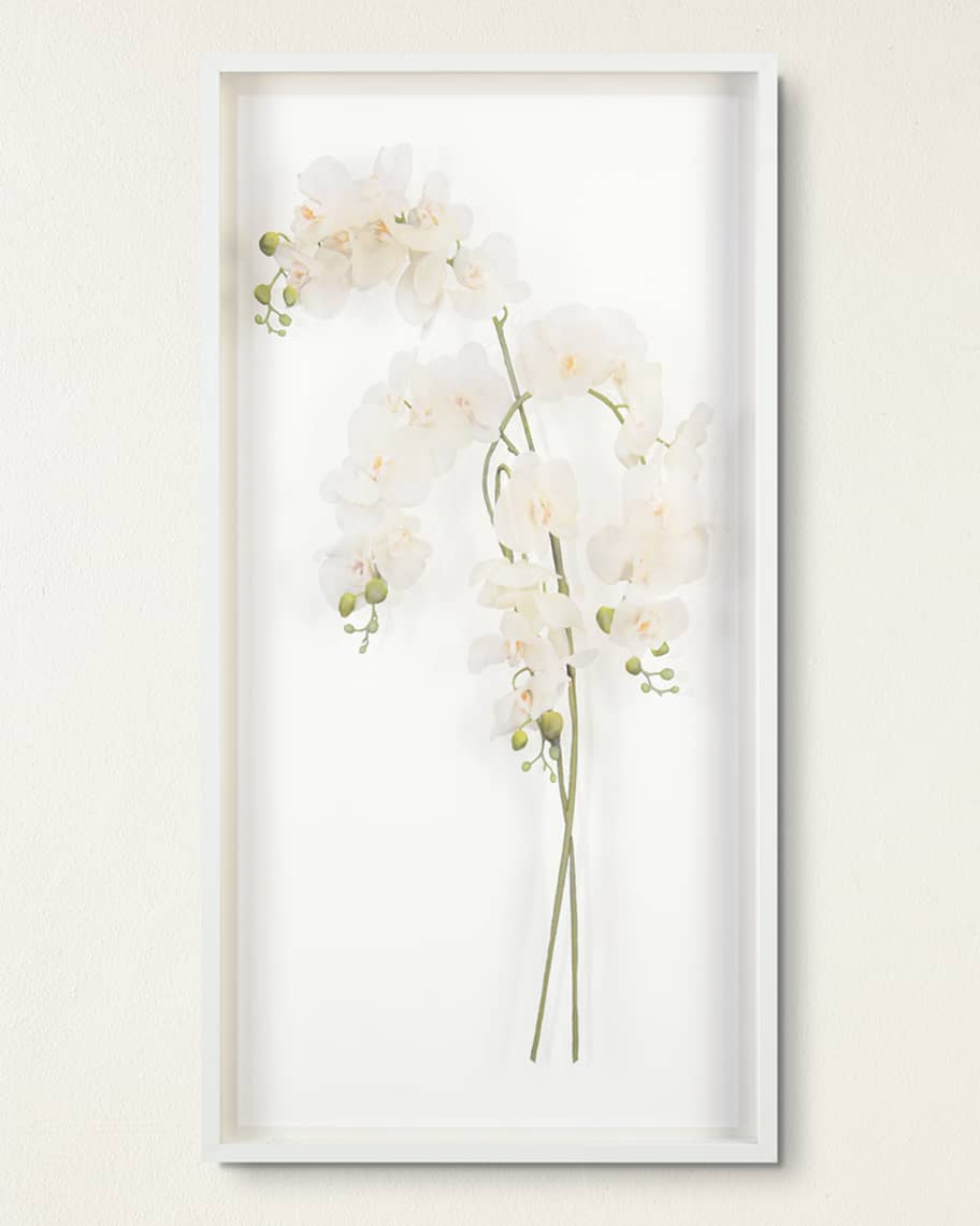 Franze Study of Orchids Shadow Box - Luxury Living Collection