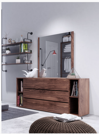 Jessamy Modern Walnut Mirror