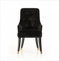 Zahra Modern Black Velvet Fabric Dining Chair