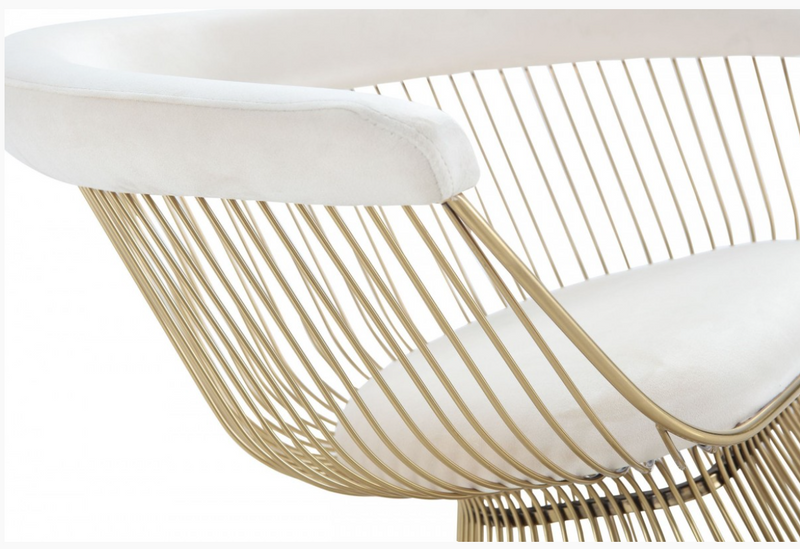 Amabella Modern Beige Velvet & Gold Dining Chair