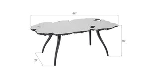 Reflection Coffee Table