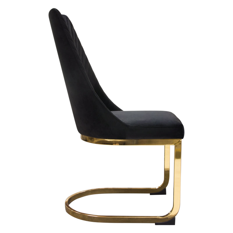 Zuzi Black Velvet with Polished Gold Dining Chair (Set of 2) - Luxury Living Collection