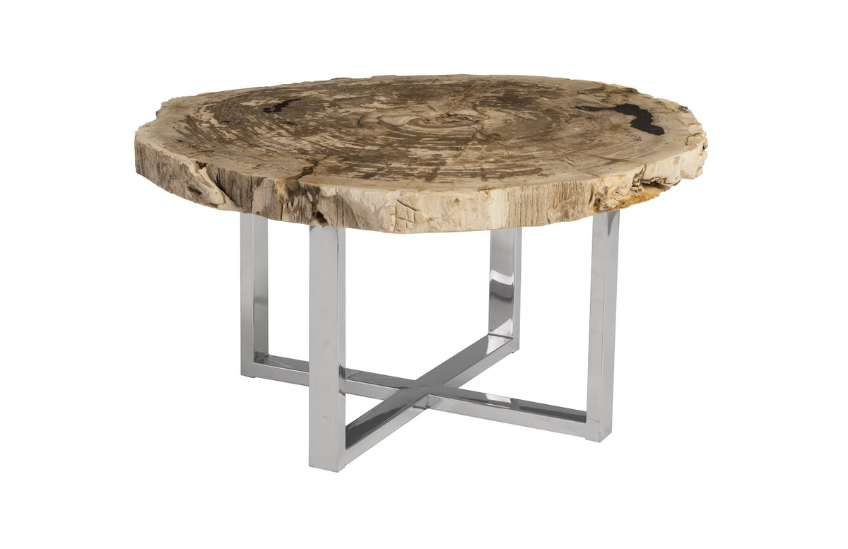 Pero Petrified Wood Coffee Table I