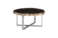 Pero Petrified Wood Coffee Table (Black)