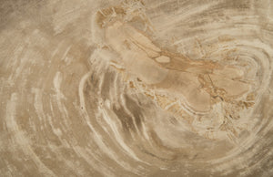 Lero Petrified Wood Table