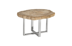Lero Petrified Wood Table