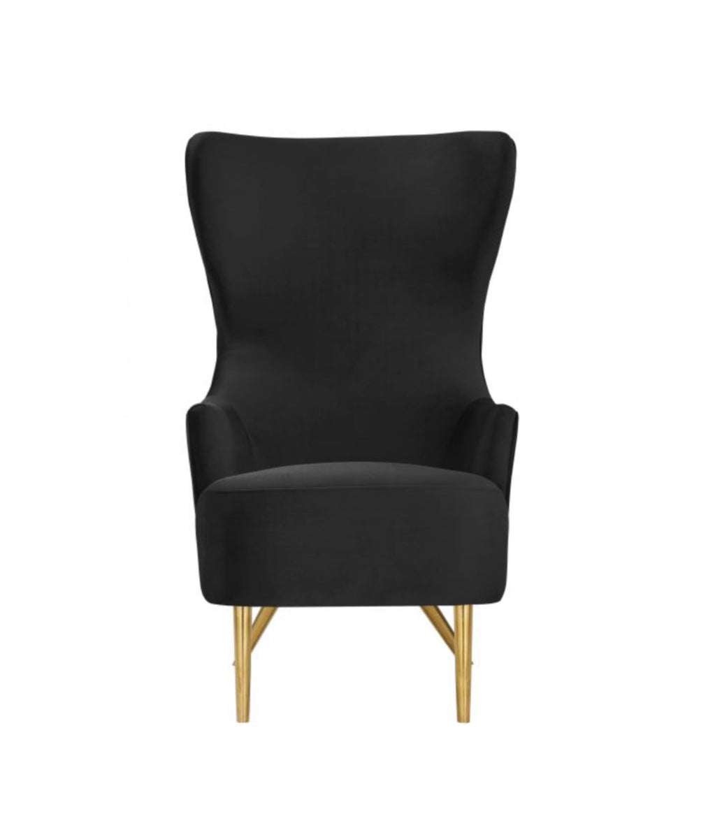 Versailles Black Velvet Wingback Chair - Luxury Living Collection