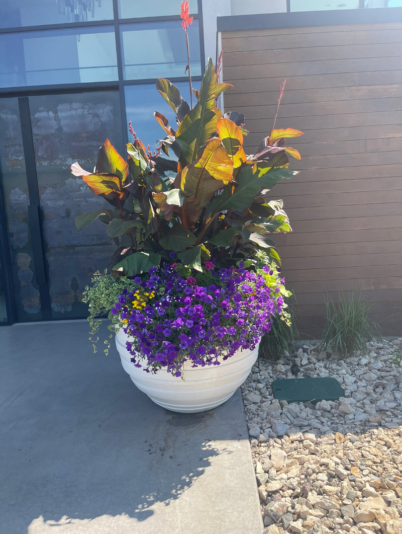 Lola Modern Planters