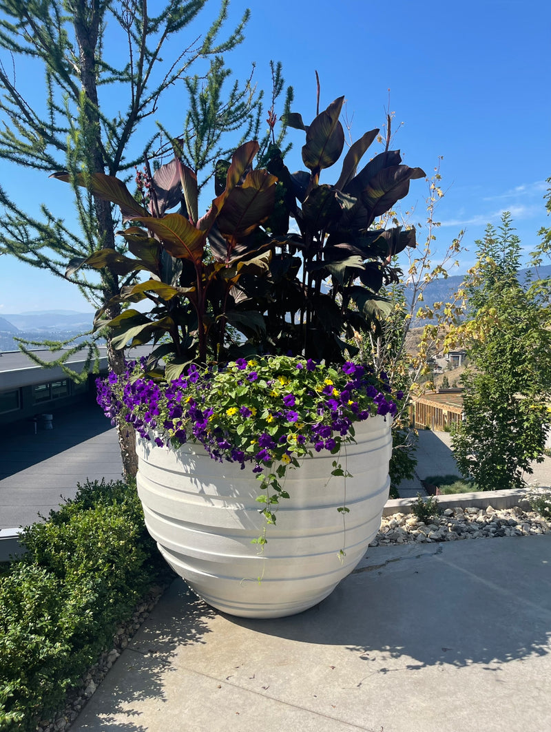 Lola Modern Planters