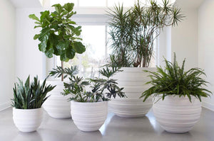 Lola Modern Planters
