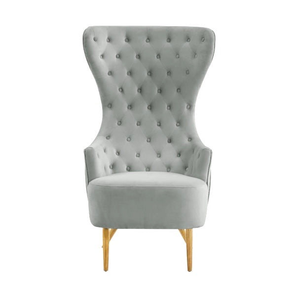 Banu Grey Velvet Wingback Chair - Luxury Living Collection