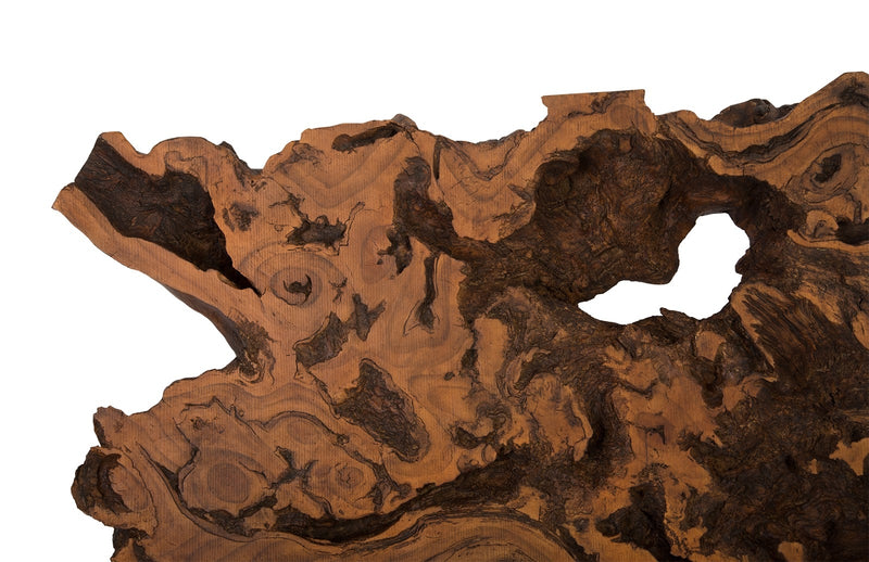 Faux Bois Wood Root Wall Sculpture