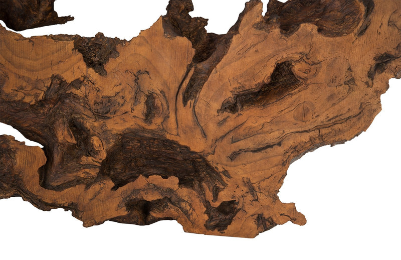 Faux Bois Wood Root Wall Sculpture