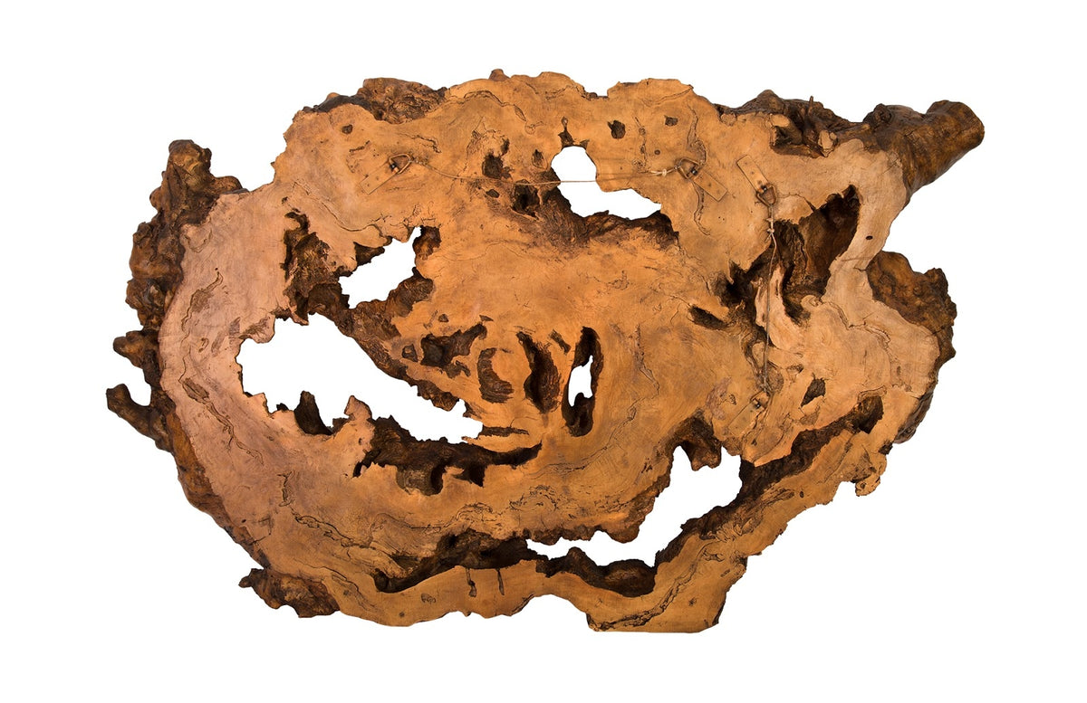 Faux Bois Wood Root Wall Sculpture