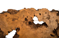 Faux Bois Wood Root Wall Sculpture