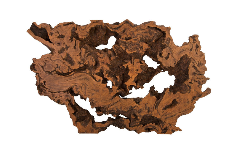 Faux Bois Wood Root Wall Sculpture