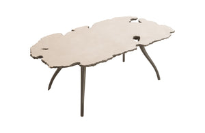 Reflection Coffee Table